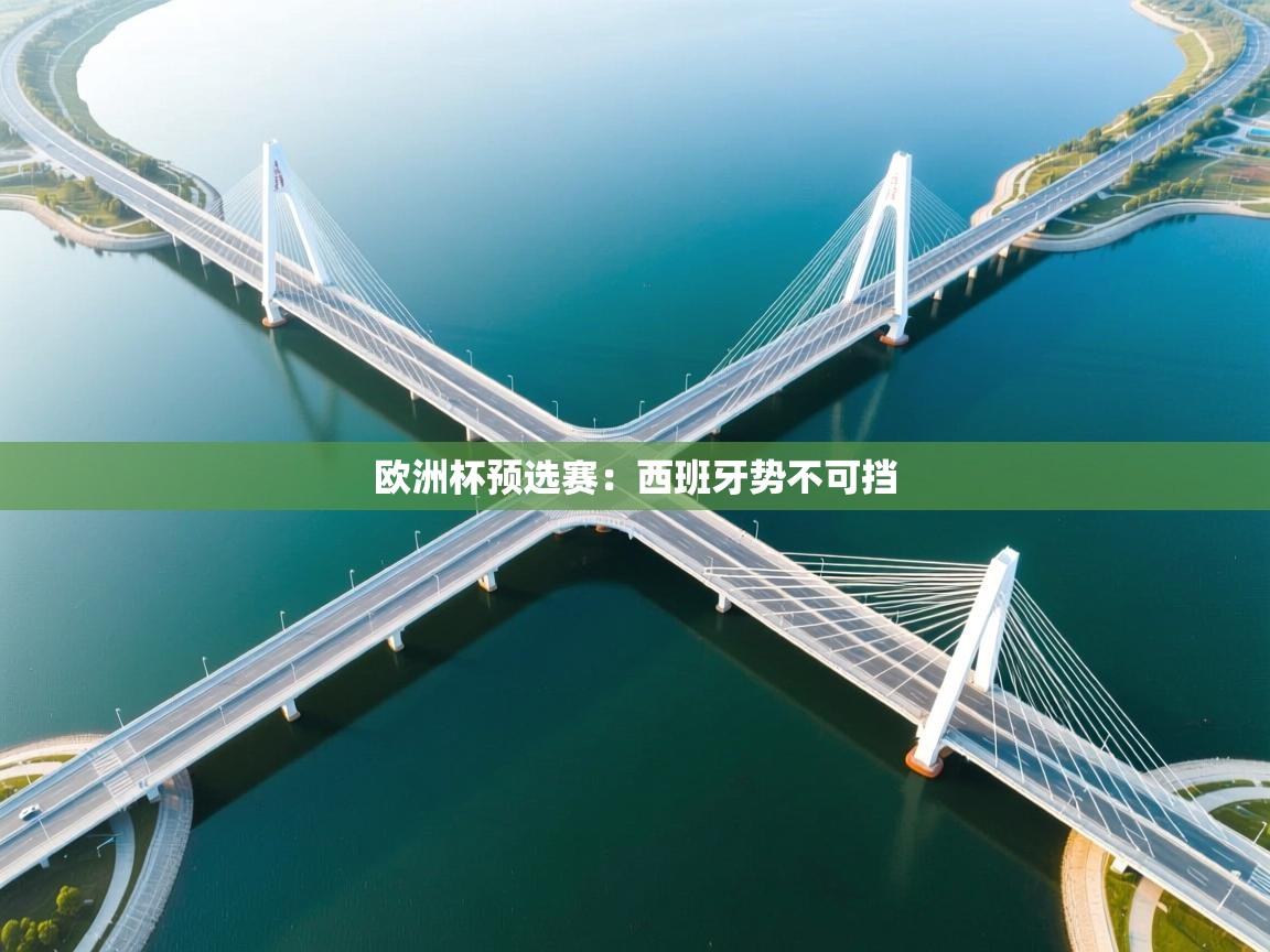 欧洲杯预选赛:西班牙势不可挡 第2张