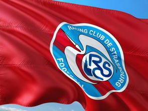 澳亚国际平台官网-帕尔梅拉斯主帅强调比赛节奏，冲击世俱杯冠军信心足